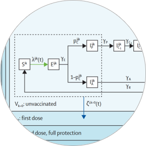 Example compartmental model diagram
